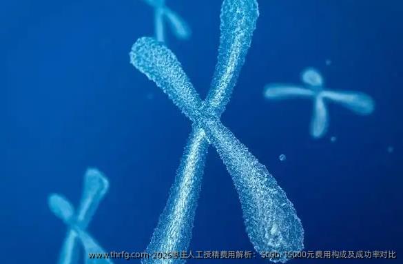 2025枣庄人工授精费用解析：5000-15000元费用构成及成功率对比