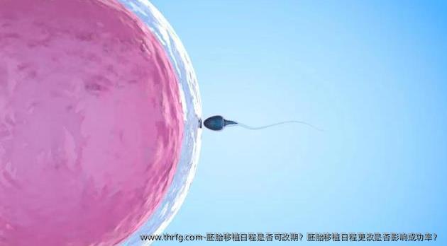 胚胎移植日程是否可改期？胚胎移植日程更改是否影响成功率？