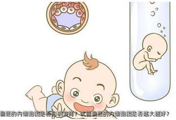 试管囊胚的内细胞团是否影响发育？试管囊胚的内细胞团是否越大越好？