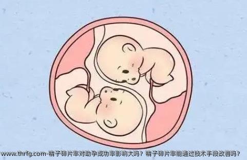 精子碎片率对助孕成功率影响大吗？精子碎片率能通过技术手段改善吗？