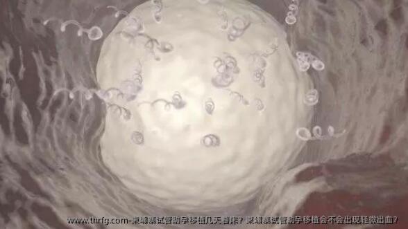 柬埔寨试管助孕移植几天着床？柬埔寨试管助孕移植会不会出现轻微出血？