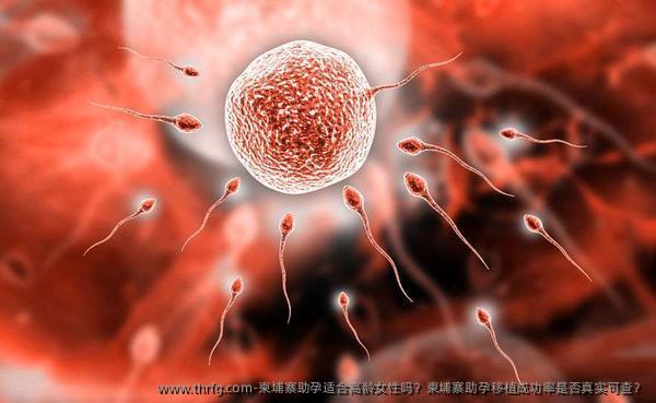 柬埔寨助孕适合高龄女性吗？柬埔寨助孕移植成功率是否真实可查？
