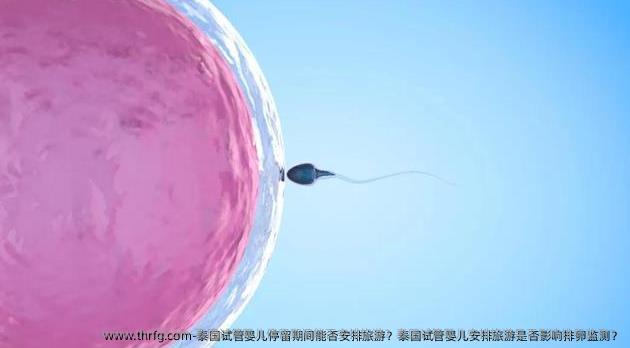 泰国试管婴儿停留期间能否安排旅游？泰国试管婴儿安排旅游是否影响排卵监测？