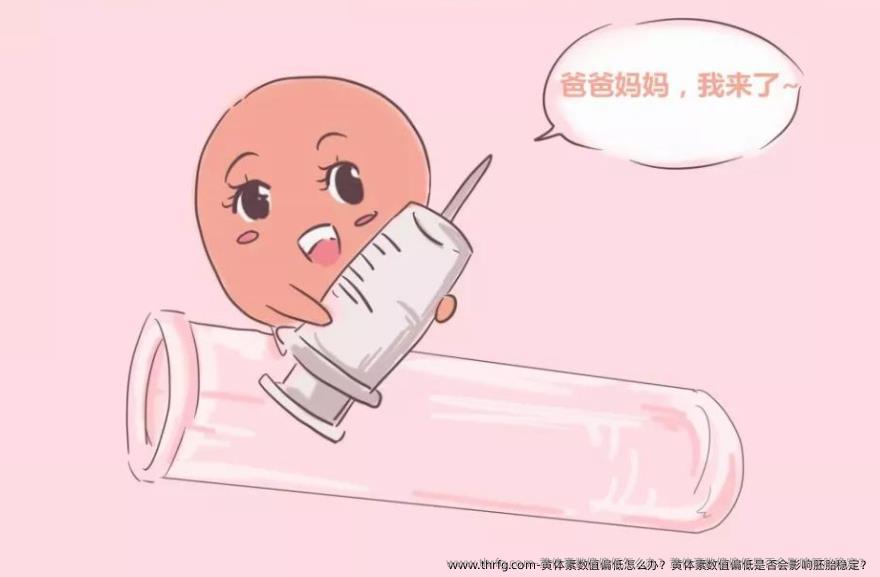 黄体素数值偏低怎么办？黄体素数值偏低是否会影响胚胎稳定？