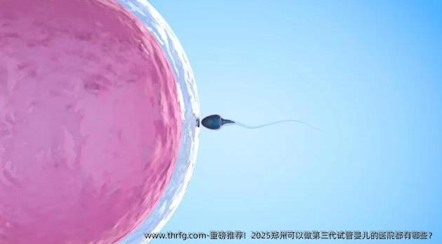 重磅推荐！2025郑州可以做第三代试管婴儿的医院都有哪些？