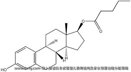 深入解读日本试管婴儿费用结构及家长预算合理分配策略