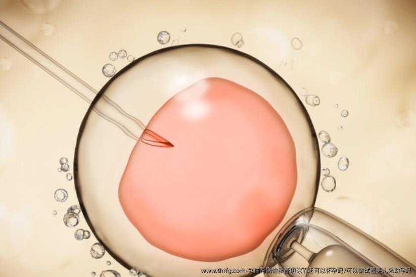 女性两侧输卵管切除了还可以怀孕吗?可以做试管婴儿来助孕吗