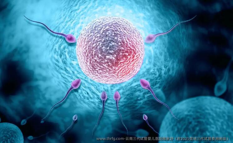 云南三代试管婴儿医院哪家好（附2025昆明三代试管费用明细）