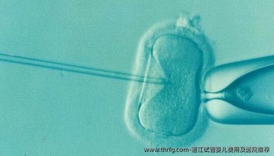 湛江试管婴儿费用及医院推荐