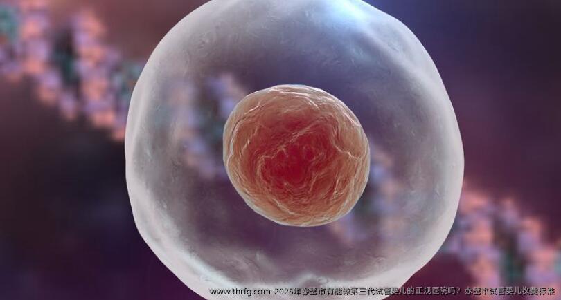 2025年赤壁市有能做第三代试管婴儿的正规医院吗？赤壁市试管婴儿收费标准