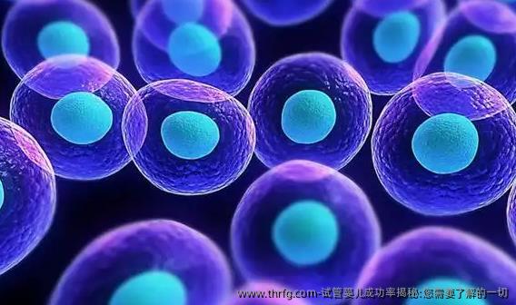 试管婴儿成功率揭秘:您需要了解的一切