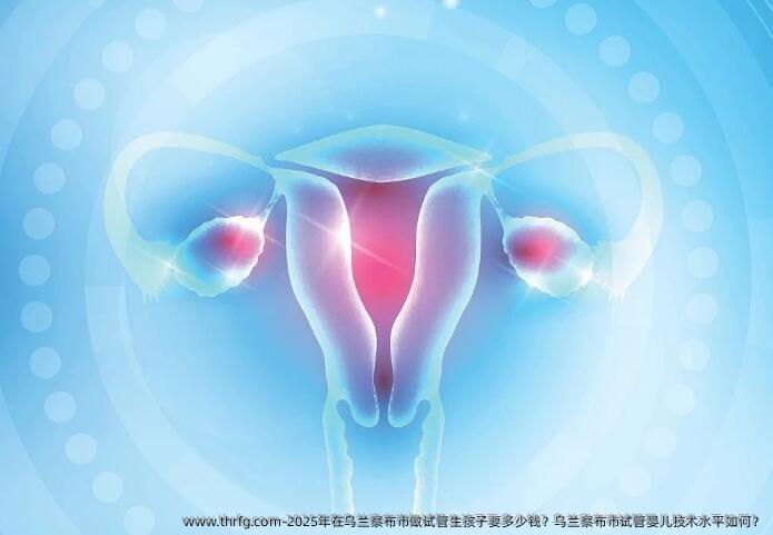 2025年在乌兰察布市做试管生孩子要多少钱？乌兰察布市试管婴儿技术水平如何？