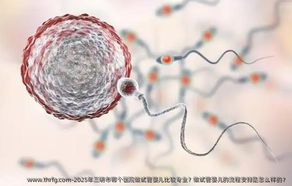 2025年三明市哪个医院做试管婴儿比较专业？做试管婴儿的流程安排是怎么样的？