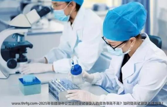 2025年在醴陵市公立医院做试管婴儿的成功率高不高？如何提高试管婴儿成功率？