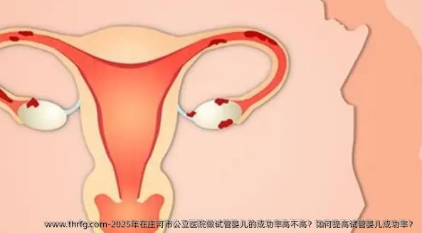 2025年在庄河市公立医院做试管婴儿的成功率高不高？如何提高试管婴儿成功率？