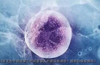 2025年无为市能做第三代试管婴儿的医院有哪些？能用社保报销吗？