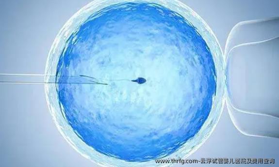 云浮试管婴儿医院及云浮试管婴儿费用查询