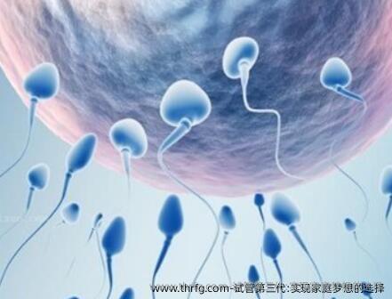 试管第三代:实现家庭梦想的选择