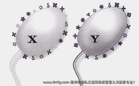 惠州哪家私立医院在试管婴儿方面更专业？