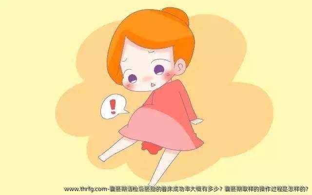 囊胚期活检后胚胎的着床成功率大概有多少？囊胚期取样的操作过程是怎样的?