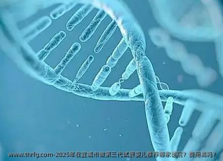2025年在宜城市做第三代试管婴儿推荐哪家医院？费用高吗？