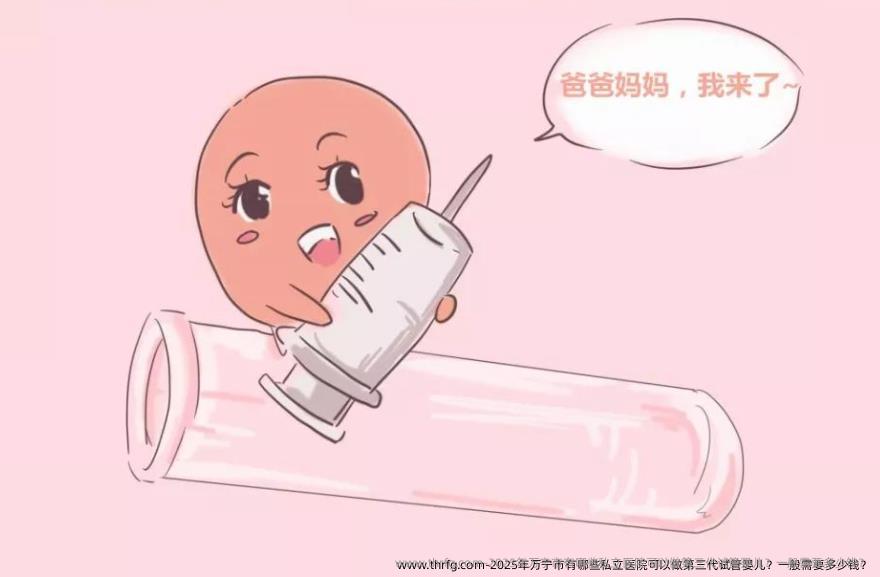 2025年万宁市有哪些私立医院可以做第三代试管婴儿？一般需要多少钱？