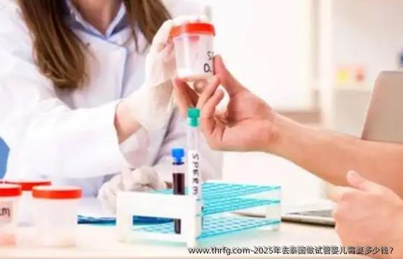2025年去泰国做试管婴儿需要多少钱？