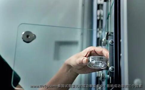 泰国试管婴儿的成功率是多少？影响成功率的三个因素