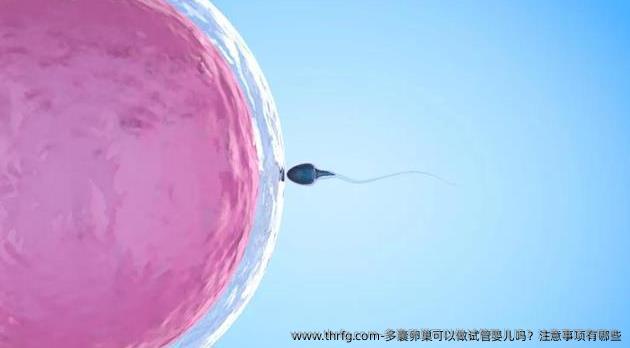 多囊卵巢可以做试管婴儿吗？注意事项有哪些
