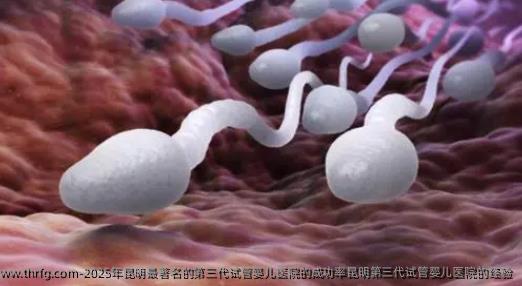 2025年昆明优秀的第三代试管婴儿医院的成功率昆明第三代试管婴儿医院的经验