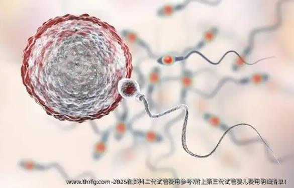 2025在郑州二代试管费用参考?附上第三代试管婴儿费用明细清单！