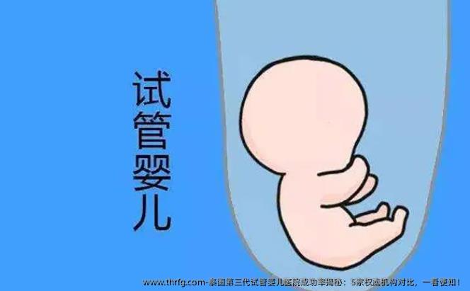 泰国第三代试管婴儿医院成功率揭秘：5家优秀机构对比，一看便知！