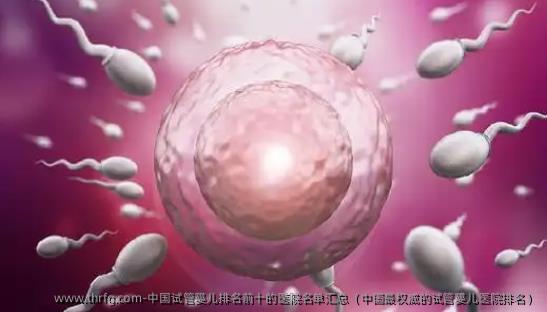 国内试管婴儿排名前十的医院名单汇总（国内最优秀的试管婴儿医院排名）