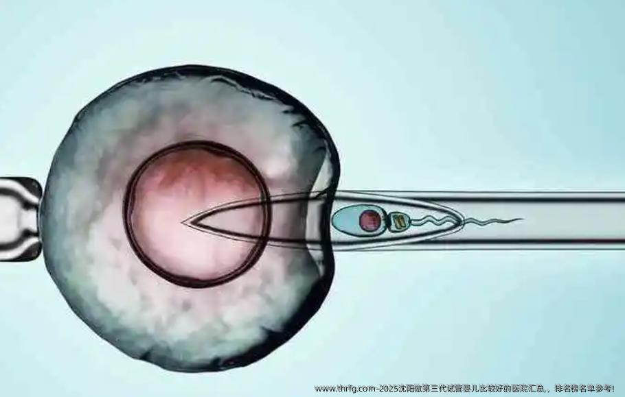2025沈阳做第三代试管婴儿比较好的医院汇总,，排名榜名单参考！