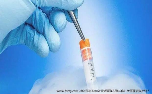 2025年在合山市做试管婴儿怎么样？大概要花多少钱？