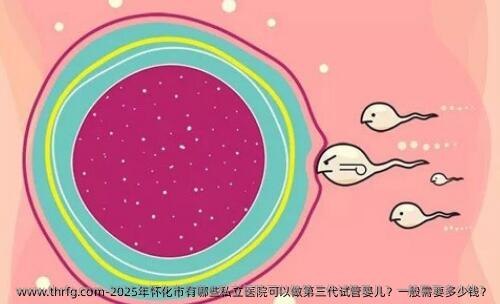 2025年怀化市有哪些私立医院可以做第三代试管婴儿？一般需要多少钱？