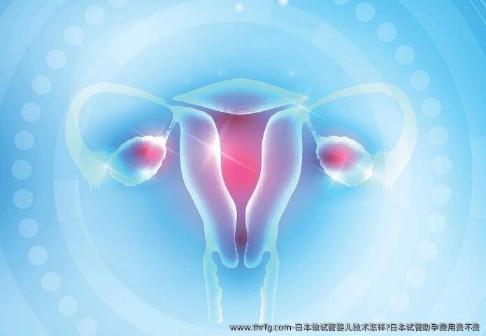 日本做试管婴儿技术怎样?日本试管助孕费用贵不贵