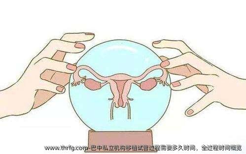 巴中私立机构移植试管过程需要多久时间，全过程时间概览