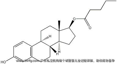 广东私立机构做个试管婴儿全过程详解，助你成功备孕