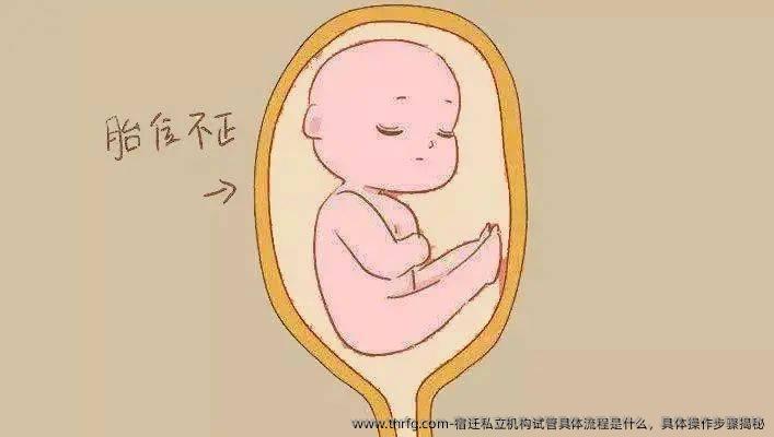宿迁私立机构试管具体流程是什么，具体操作步骤揭秘