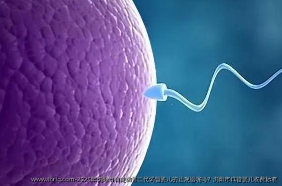 2025年浏阳市有能做第三代试管婴儿的正规医院吗？浏阳市试管婴儿收费标准