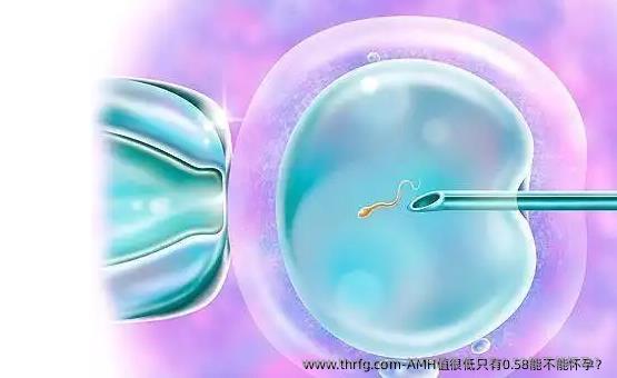 AMH值很低只有0.58能不能怀孕？