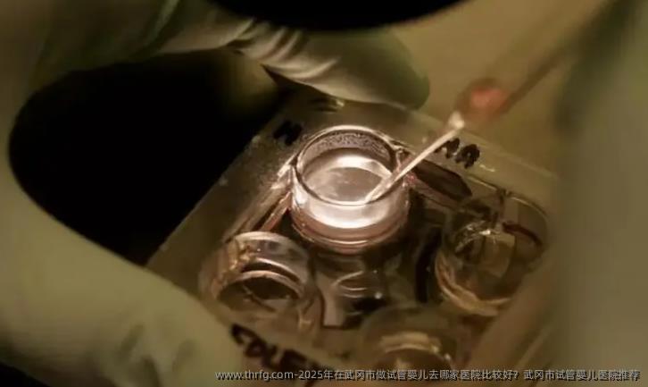 2025年在武冈市做试管婴儿去哪家医院比较好？武冈市试管婴儿医院推荐