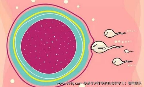 复通手术怀孕的机会有多大？费用贵吗