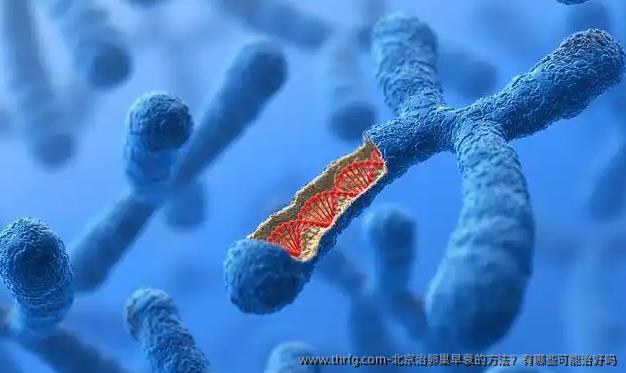 北京治卵巢早衰的方法？有哪些可能治好吗