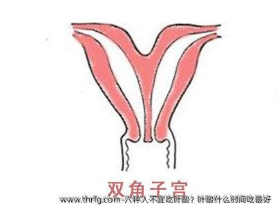 六种人不宜吃叶酸？叶酸什么时间吃较好