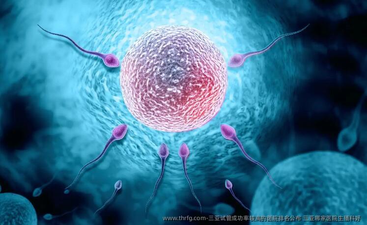 三亚试管成功率较高的医院排名公布 三亚哪家医院生殖科好 