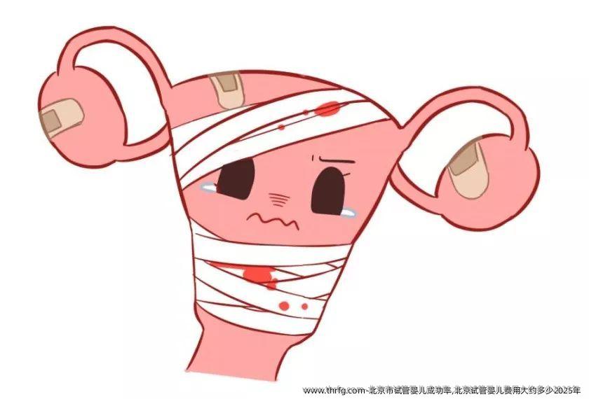 北京市试管婴儿成功率,北京试管婴儿费用大约多少2025年 