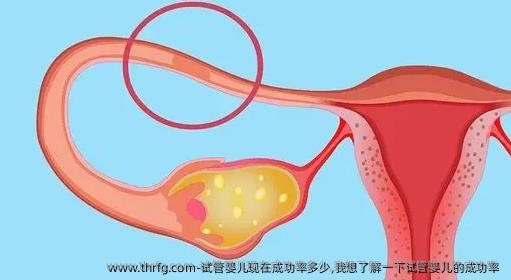 试管婴儿现在成功率多少,我想了解一下试管婴儿的成功率