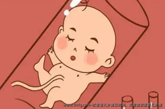 试管婴儿步骤及时间，夫妻做试管婴儿步骤